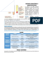 Sangre y Hematopoyesis