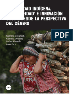 Modernidad Indigena Indigeneidad e Innovacion Social Desde La Perspectiva Del Genero