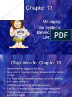 Managing The Systems Development Life Cycle