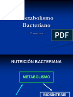 Metabolismo Bacteriano