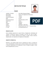 CURRICULUM VITAE BENJAMIN Caja Ica