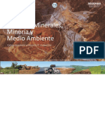 Recursos Minerales Mineria y Medio Ambiente