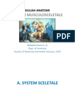 2 System Musculo Sceletal 2014