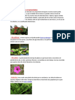 Tipos de Plantas Ornamentales