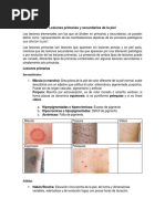 Lesiones Primarias y Secundarias de La Piel