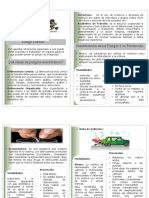 Folleto Riesgo Publico - 2018