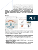 Fenomenos Fisicos, Quimicos, Biologicos, Mixtos