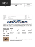 Guia 11 Acidos Carboxilicos