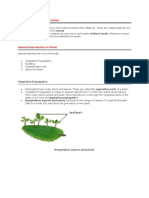 Modes of Reproduction in Plants