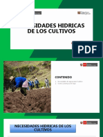 Necesidades Hidricas de Cultivo