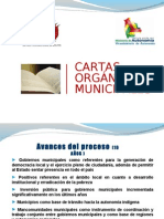 Visión de La Carta Orgánica Municipal