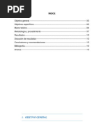 Golpe de Ariete INFORME #2