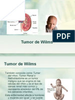 Tumor de Wilms