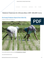 9 Steps To Start Rice Farming & Production in Nigeria