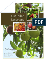 Edible Landscape PDF