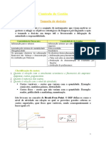 Apontamentos Controlo de Gestao