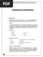 Requerimiento - Terminos de Referencia