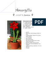 Amaryllis English