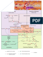 Coagpathway PDF