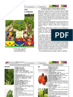 Guia Basica para La Agricultura Organica Urbana PDF