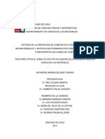 Tesis - Chile Estudio de La Obtención de Compósitos Con Propiedades Antimicrobiales y Antifouling Formados Por Una Matriz Polimérica y Nanopartículas A Base de Cobre - Delgado - 2013