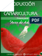 01 Aves de Adorno