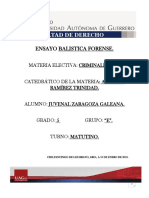 Balistica Forense Ensayo