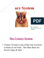 Urinary System: Mr. Visanth V S Mayo School of Nursing Lucknow