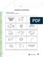 Ficha 2º Primaria Vertebrados e Invertebrados