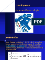 LIPASAS en Las Diversidad de Conformaciones