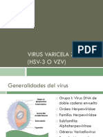 Virus Varicela Zóster