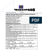 Matematica Triangulos Rectangulos