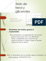 Biosintesís de Colesterol y Triacilgliceroles