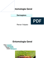 Trabalho Entomologia Geral Dermaptera