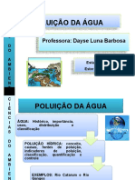 Poluicaoda Agua