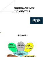 MICOLOGÍA Biología de Los Microorganismos