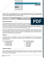 Clase 3 CIRUGÍA (II Parte) - Patología Pancreática