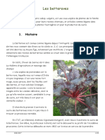 Les Betteraves PDF