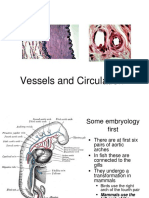 Vessels and Circulation