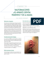 Vmalformaciones Del Aparato Genital Femenino y de La Mama