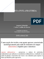 Aula 2 Resposta Inflamatória