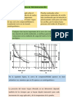 Carga de Preconsolidacion