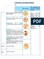 Clasificación de Las Bacterias Archivo Completo