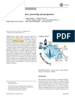 Agave Bagasse Biorefinery - Processing and Perspectives PDF