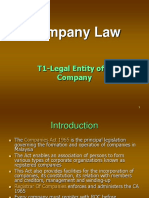 T1-Legal Entity of A Company