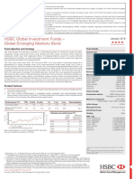 HSBC Global Investment Funds - Global Emerging Markets Bond: Fund Objective and Strategy