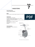 Fisiologia Basica Aula 7