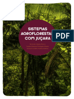 Sistemas Agroflorestais Com Juçara