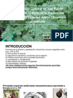 Apropiación Cultural de Una Planta Europea en La Herbolaria Tradicional Mexicana - El Caso Del Ajenjo (Artemisia Absintium)