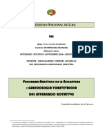 Formato Analitico Ginecologia y Obstetricia DR Guillermo Coronel Copia 2